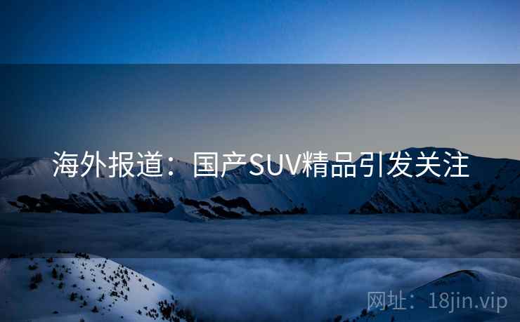 海外报道：国产SUV精品引发关注  第1张