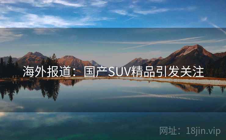 海外报道：国产SUV精品引发关注  第2张