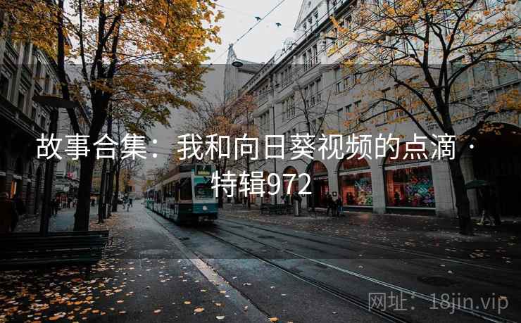故事合集：我和向日葵视频的点滴 · 特辑972  第2张